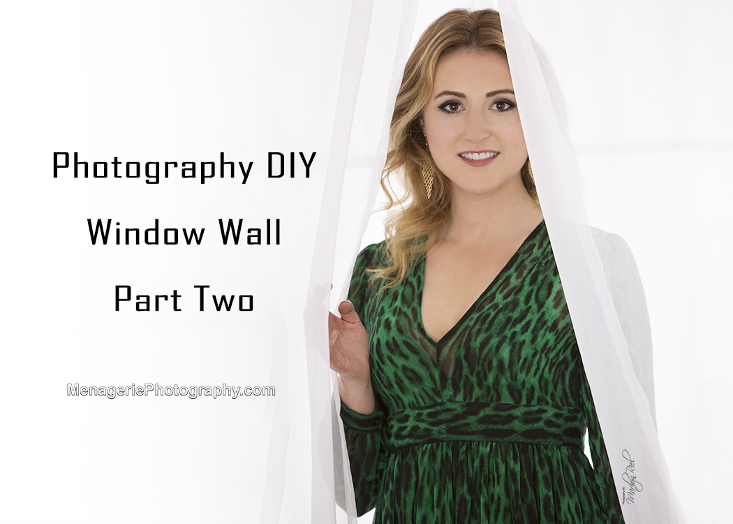 Marilyn Riel CT Photographer Menagerie Photography DIY Window Wall